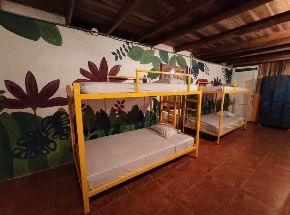 Madre Selva Hostel Puerto Viejo de Talamanca المظهر الخارجي الصورة
