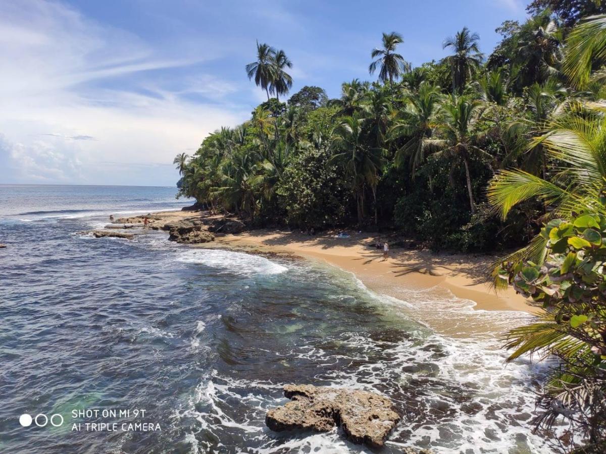 Madre Selva Hostel Puerto Viejo de Talamanca المظهر الخارجي الصورة