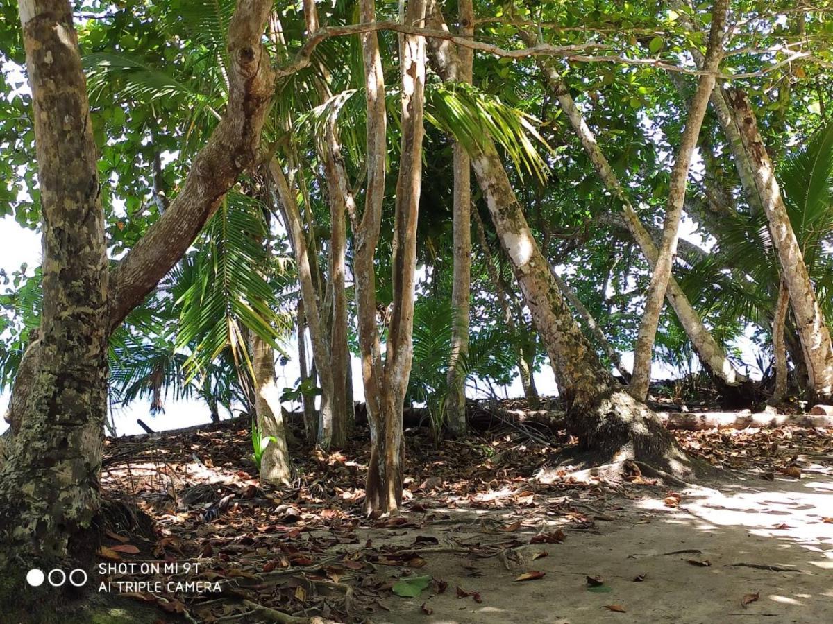 Madre Selva Hostel Puerto Viejo de Talamanca المظهر الخارجي الصورة