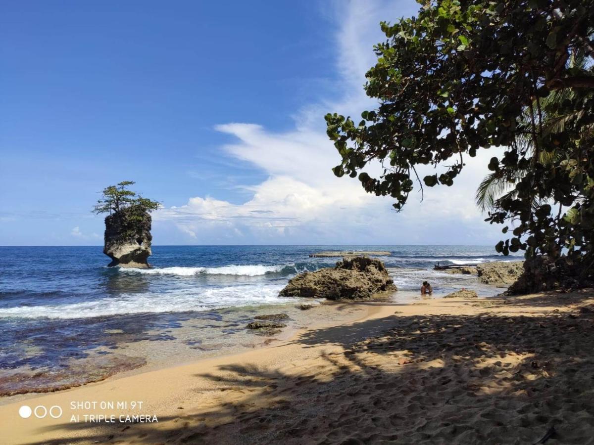 Madre Selva Hostel Puerto Viejo de Talamanca المظهر الخارجي الصورة