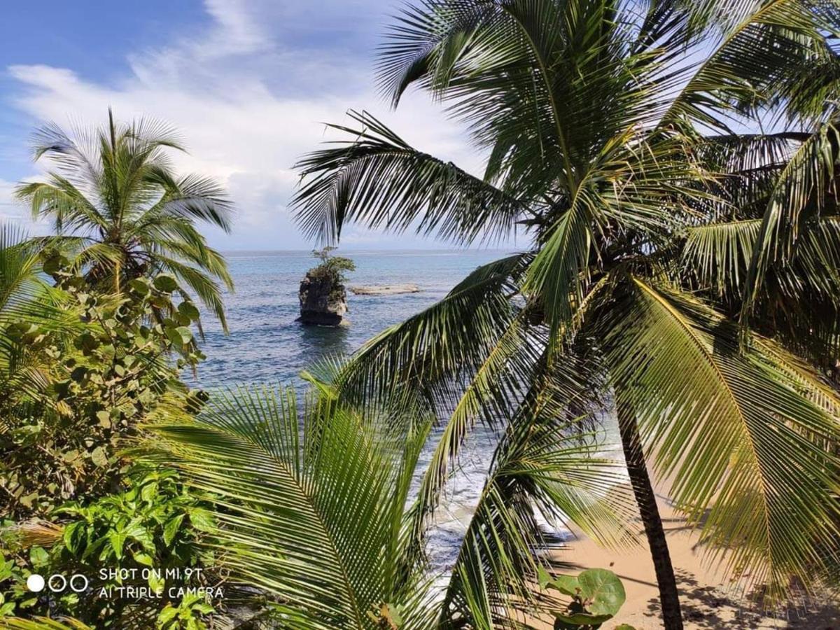 Madre Selva Hostel Puerto Viejo de Talamanca المظهر الخارجي الصورة
