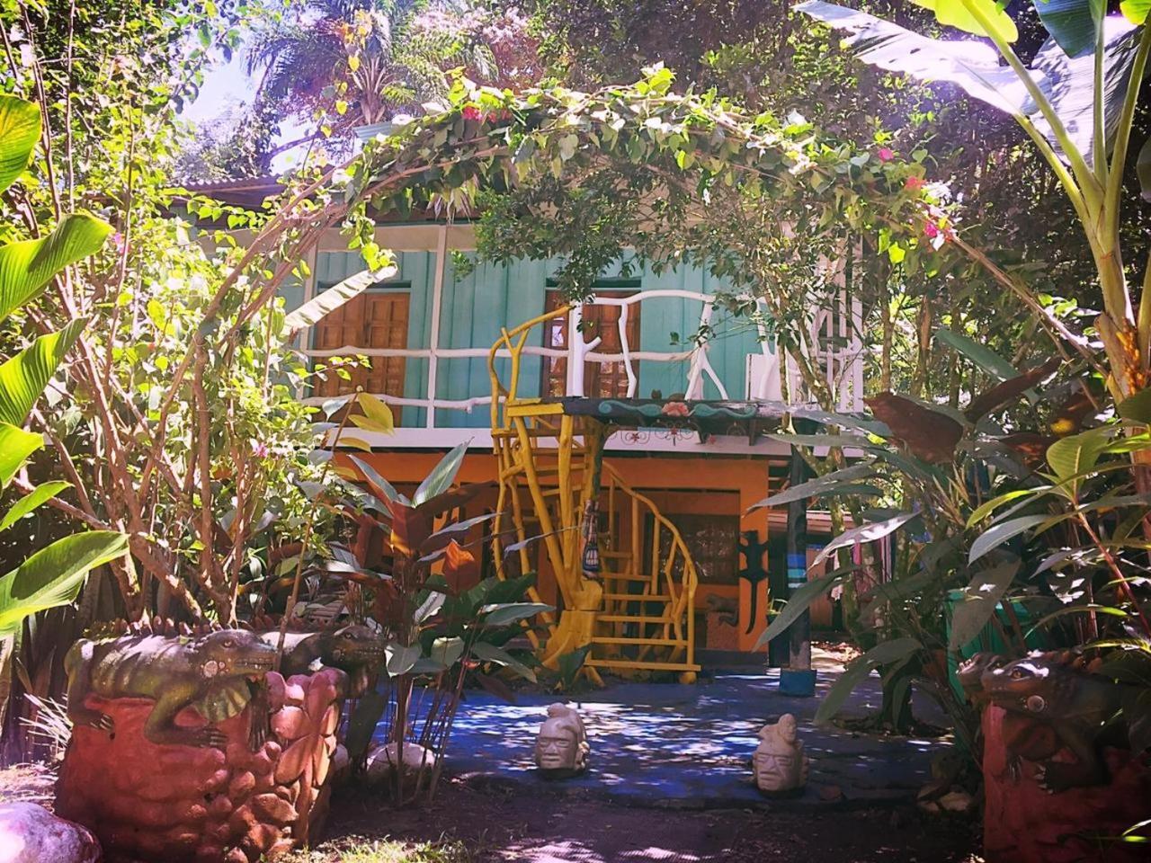 Madre Selva Hostel Puerto Viejo de Talamanca المظهر الخارجي الصورة