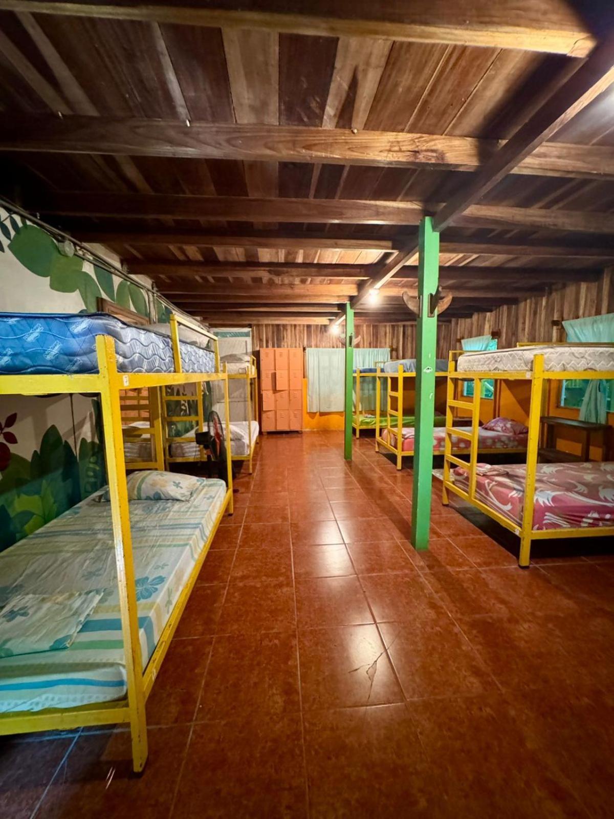 Madre Selva Hostel Puerto Viejo de Talamanca المظهر الخارجي الصورة