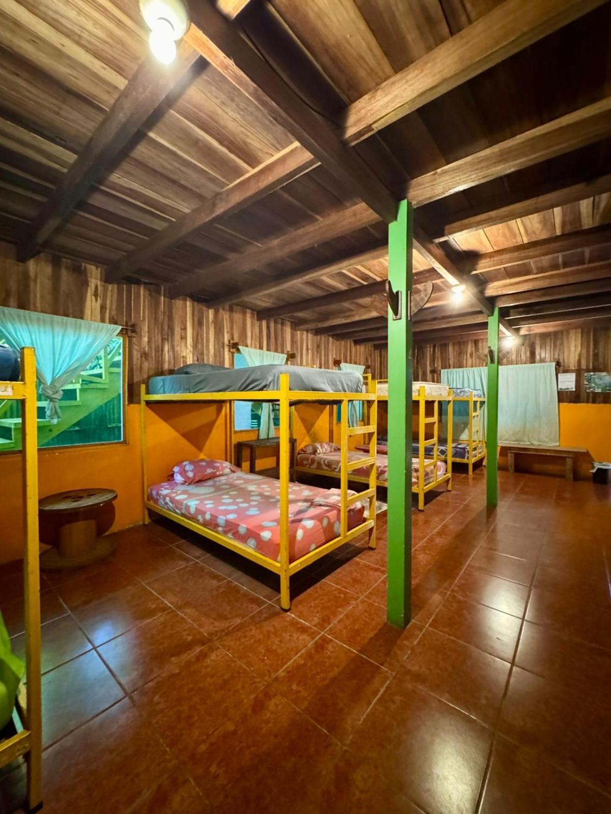 Madre Selva Hostel Puerto Viejo de Talamanca المظهر الخارجي الصورة