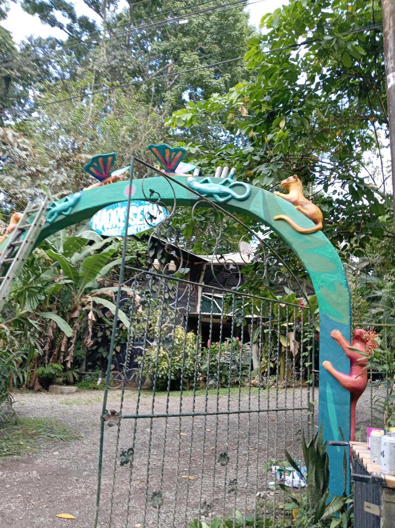 Madre Selva Hostel Puerto Viejo de Talamanca المظهر الخارجي الصورة