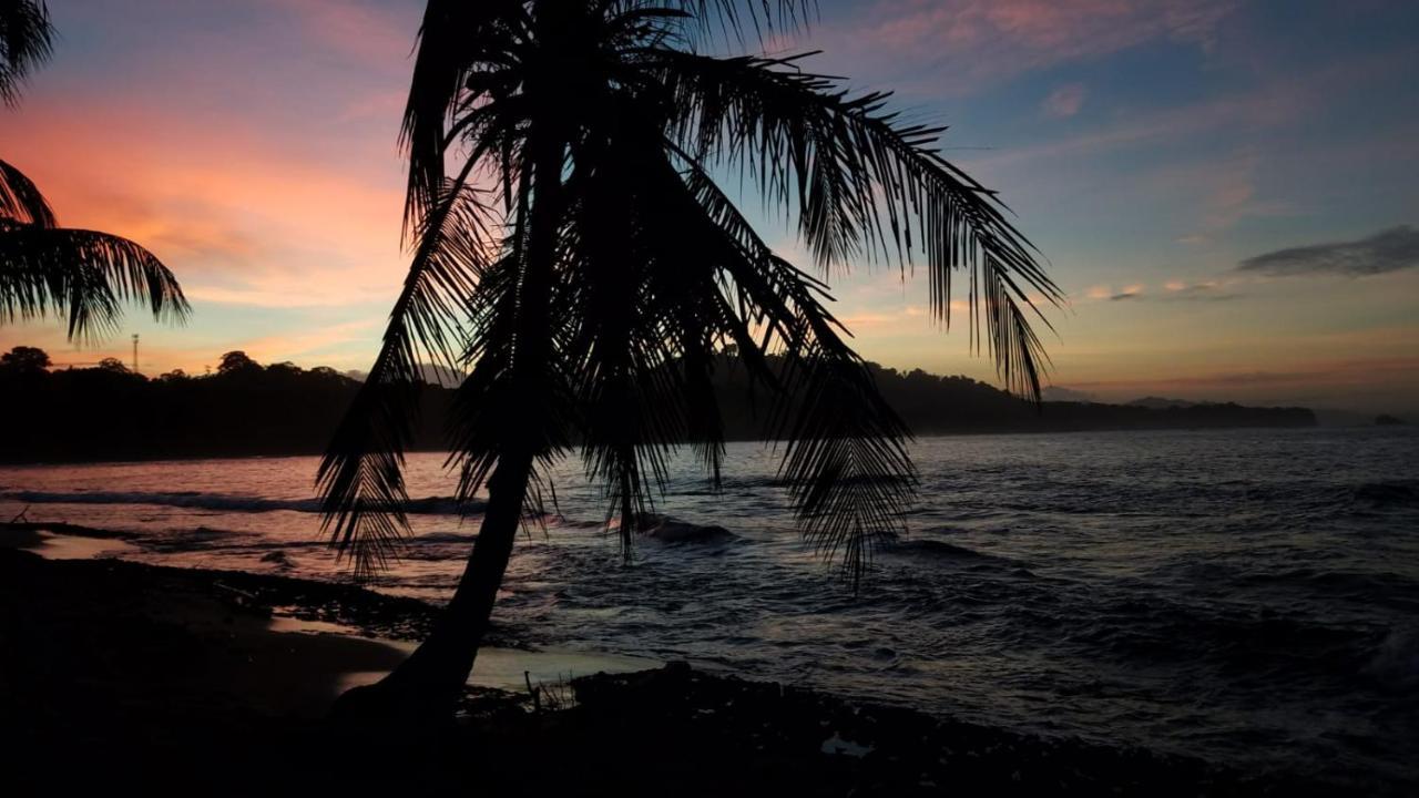 Madre Selva Hostel Puerto Viejo de Talamanca المظهر الخارجي الصورة
