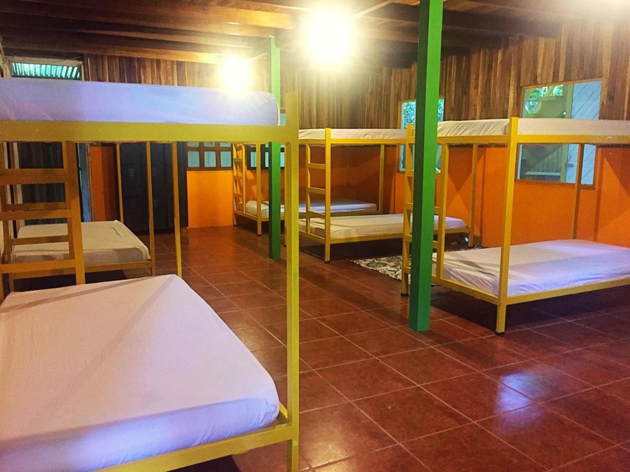 Madre Selva Hostel Puerto Viejo de Talamanca المظهر الخارجي الصورة