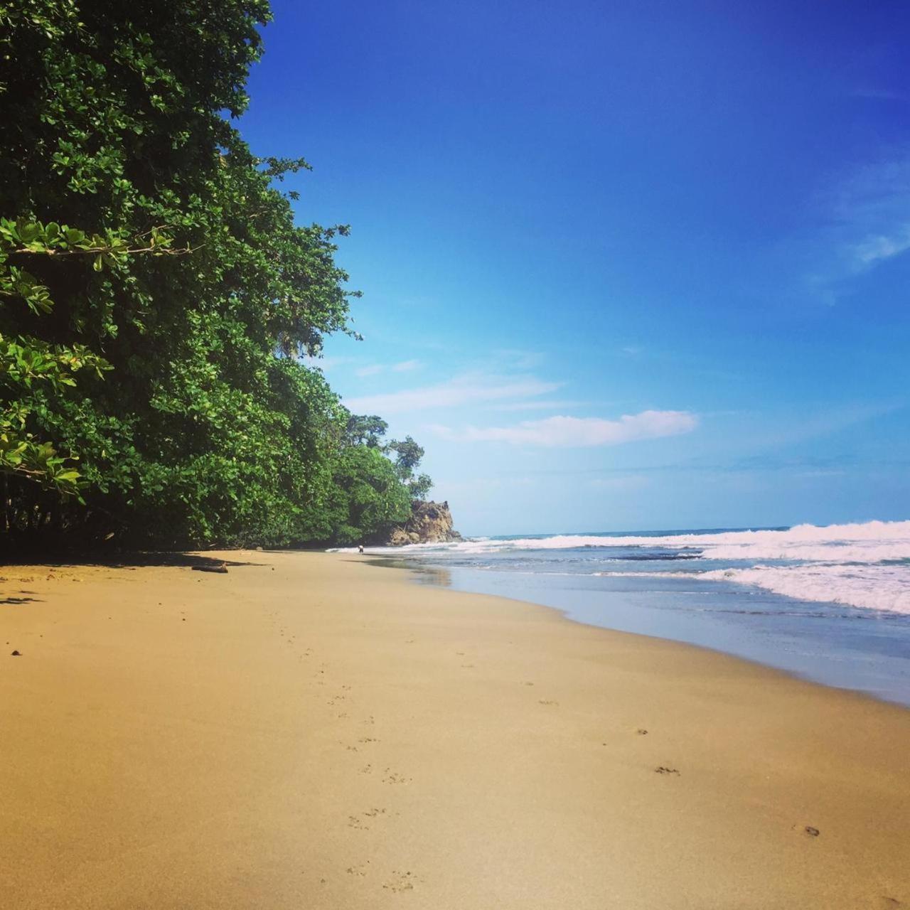 Madre Selva Hostel Puerto Viejo de Talamanca المظهر الخارجي الصورة