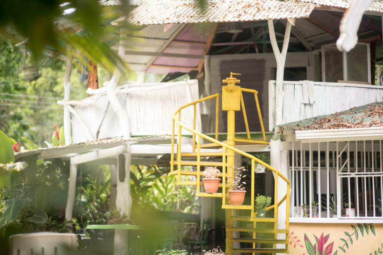 Madre Selva Hostel Puerto Viejo de Talamanca المظهر الخارجي الصورة