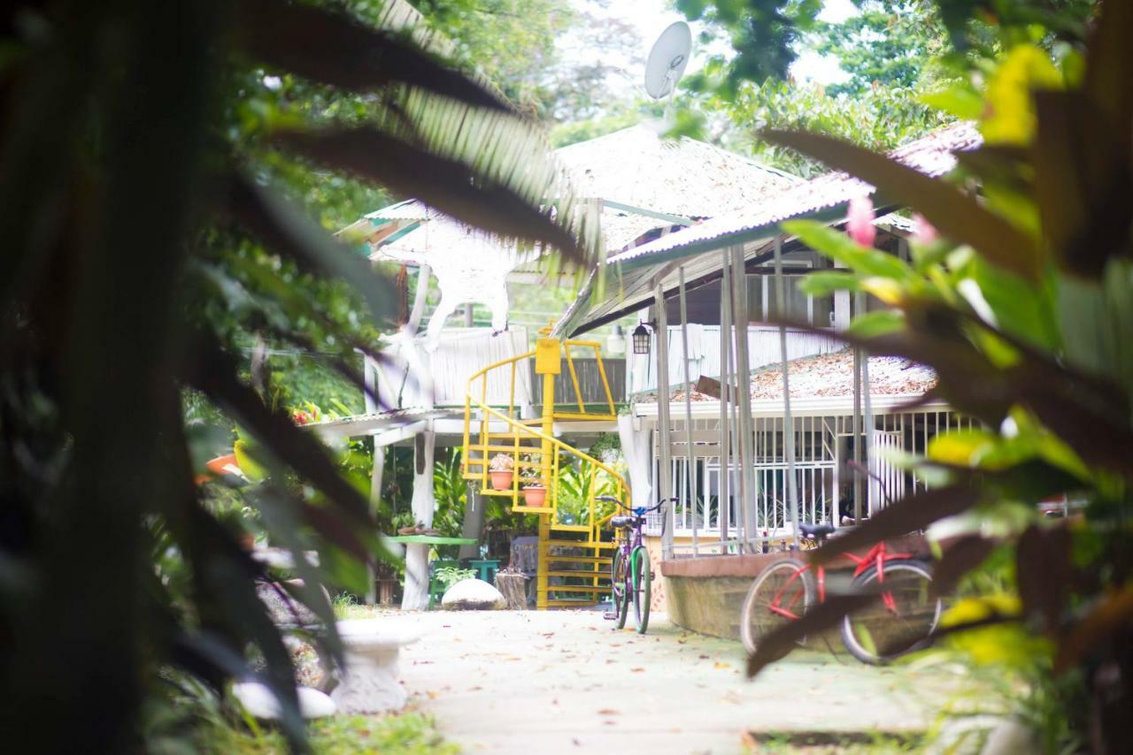 Madre Selva Hostel Puerto Viejo de Talamanca المظهر الخارجي الصورة