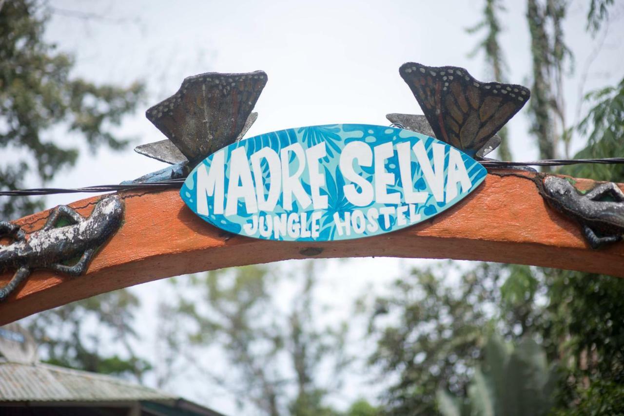 Madre Selva Hostel Puerto Viejo de Talamanca المظهر الخارجي الصورة