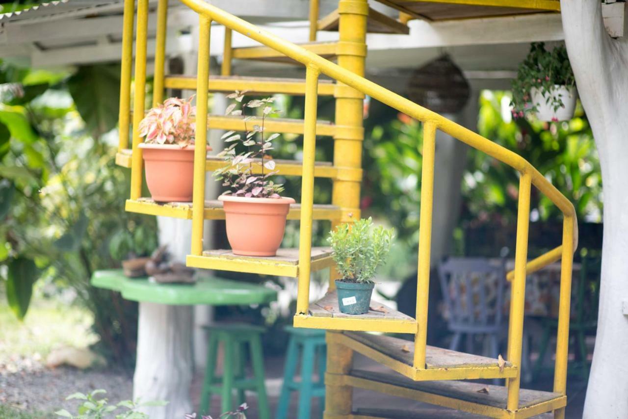 Madre Selva Hostel Puerto Viejo de Talamanca المظهر الخارجي الصورة