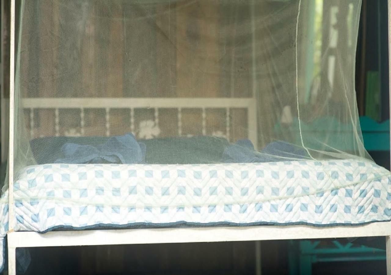 Madre Selva Hostel Puerto Viejo de Talamanca المظهر الخارجي الصورة