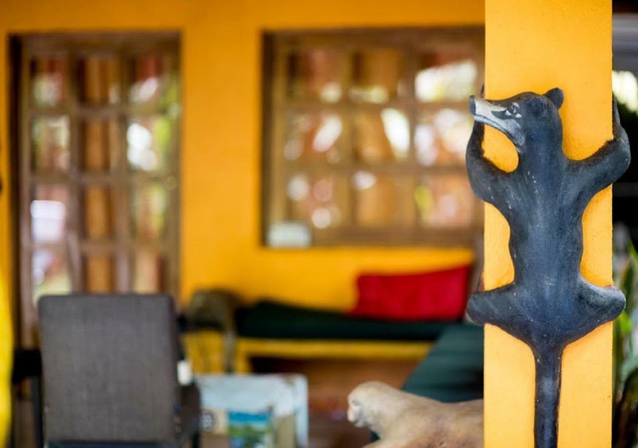 Madre Selva Hostel Puerto Viejo de Talamanca المظهر الخارجي الصورة