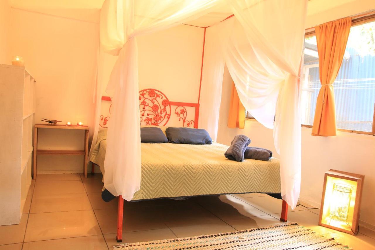 Madre Selva Hostel Puerto Viejo de Talamanca المظهر الخارجي الصورة